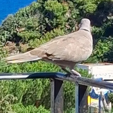 Stella Mare 2 Apartment Santa Flavia